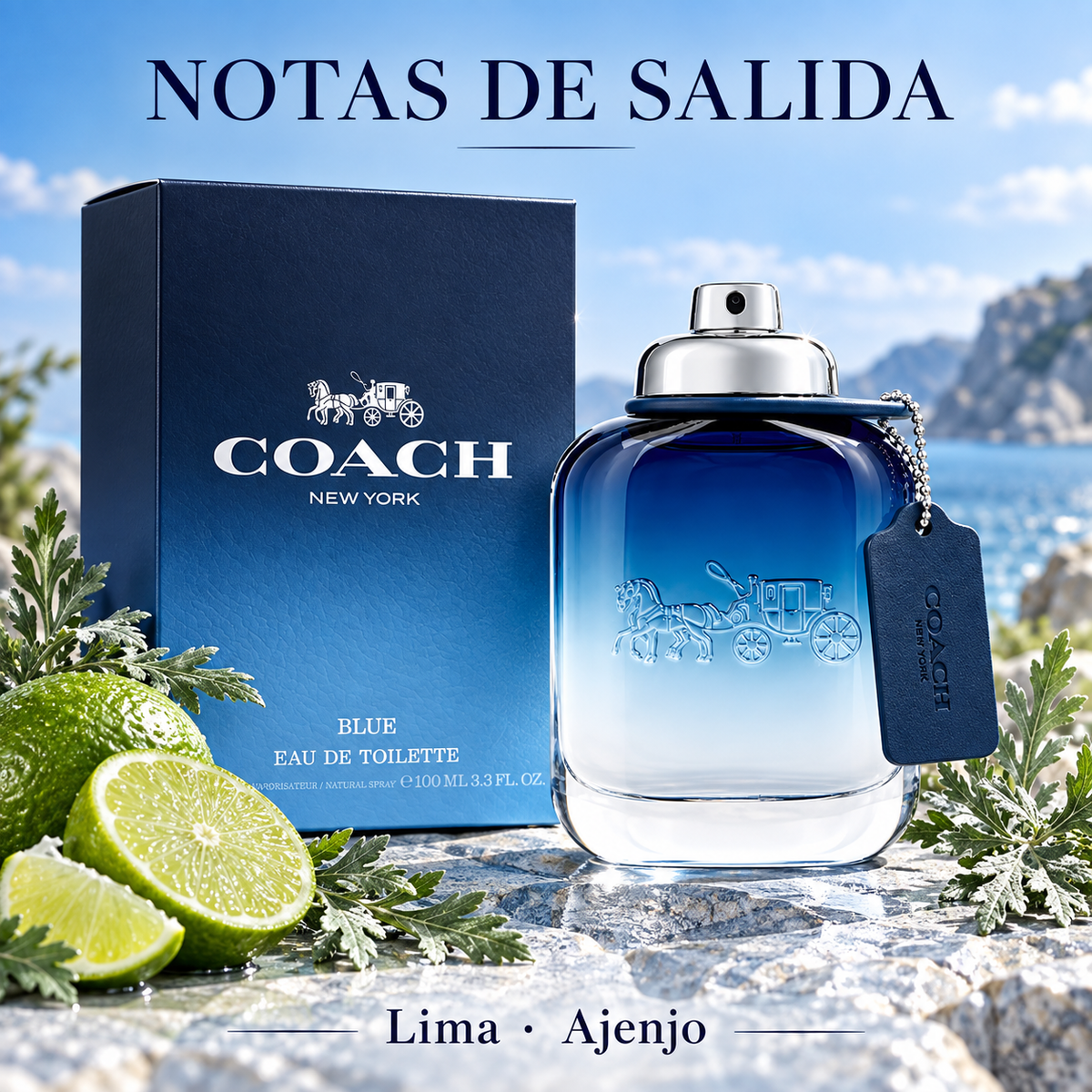 Coach Blue Eau de Toilette para Hombre 100 ml